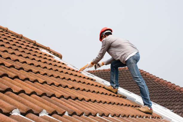 Best Roof Ventilation Installation  in Urbana, IA